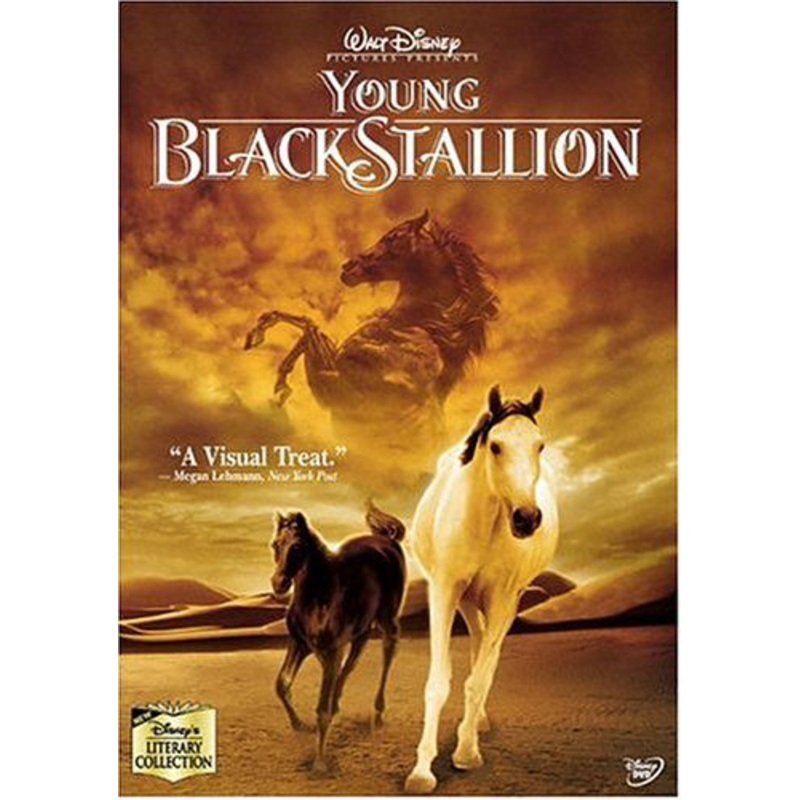 (UK-Version evtl. keine dt. Sprache)  Young Black Stallion (2003) [DVD] (DVD) (2024)