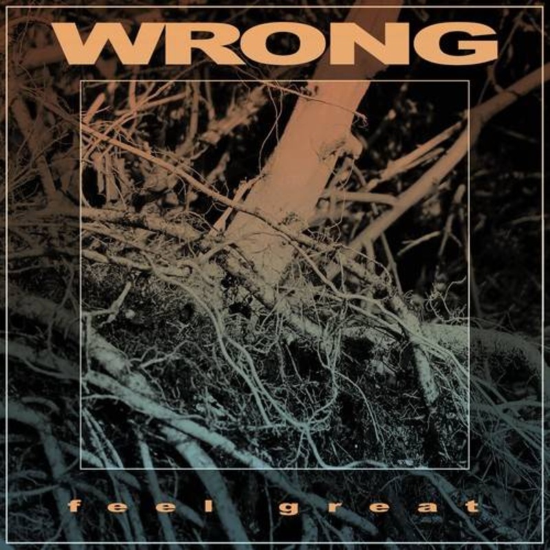 Wrong – Feel Great – VINYL LP