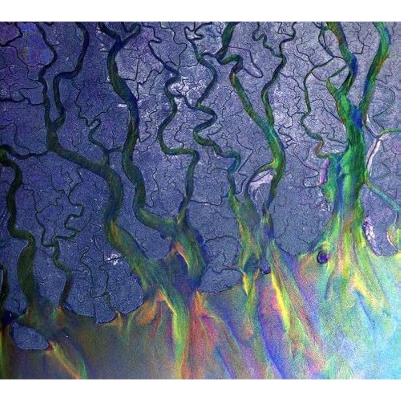 ALT-J Awesome Wave CD