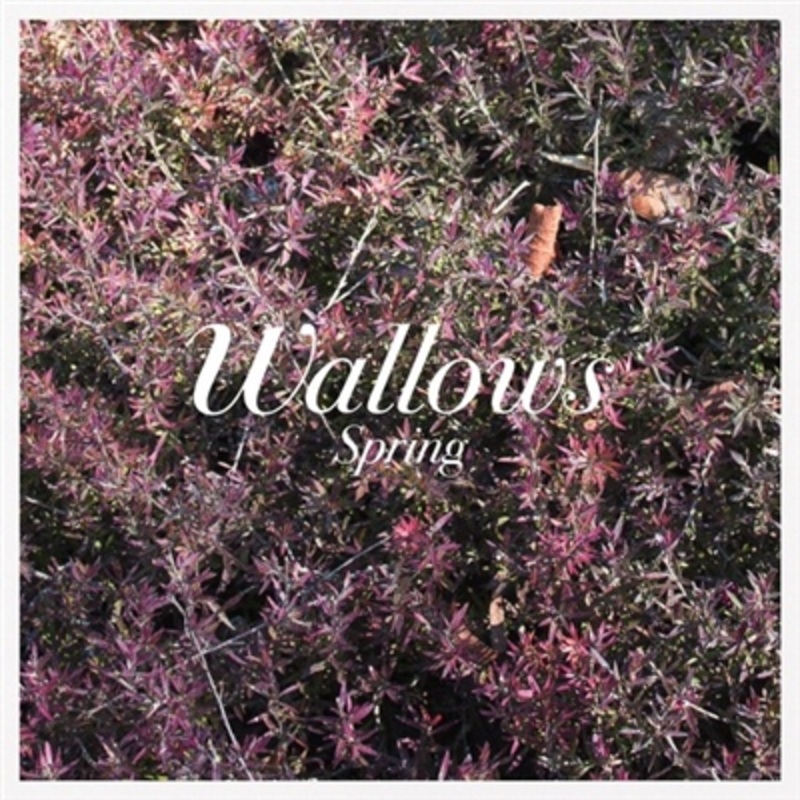 Wallows – Spring (Pink & Green Vinyl) – VINYL LP