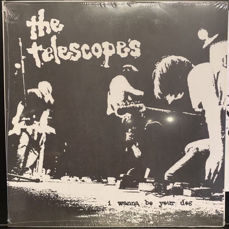 A Place to Bury Strangers / Telescopes – Split 10 LP