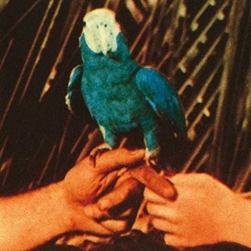 Andrew Bird – Are You Serious – VINYL LP