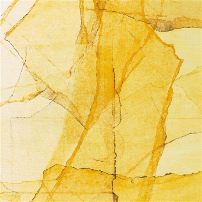 Wadada Leo Smith / Amina Claudine Myaers – Central Parks Mosaic Of Reservoir, Lake, Paths And Gardens (Indie Exclusive Vinyl) – VINYL LP