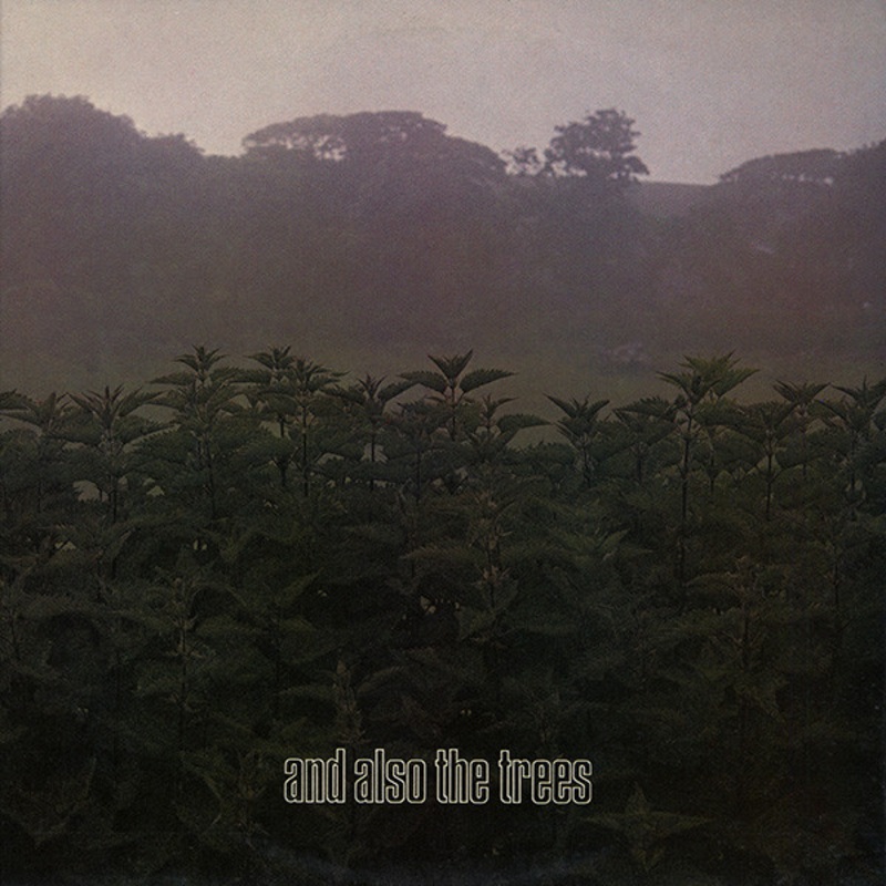 And Also the Trees LP RSD