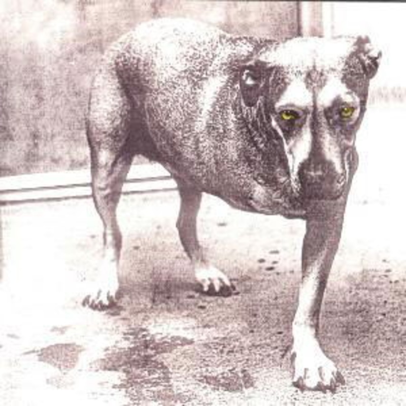 Alice In Chains (CD) (2001)