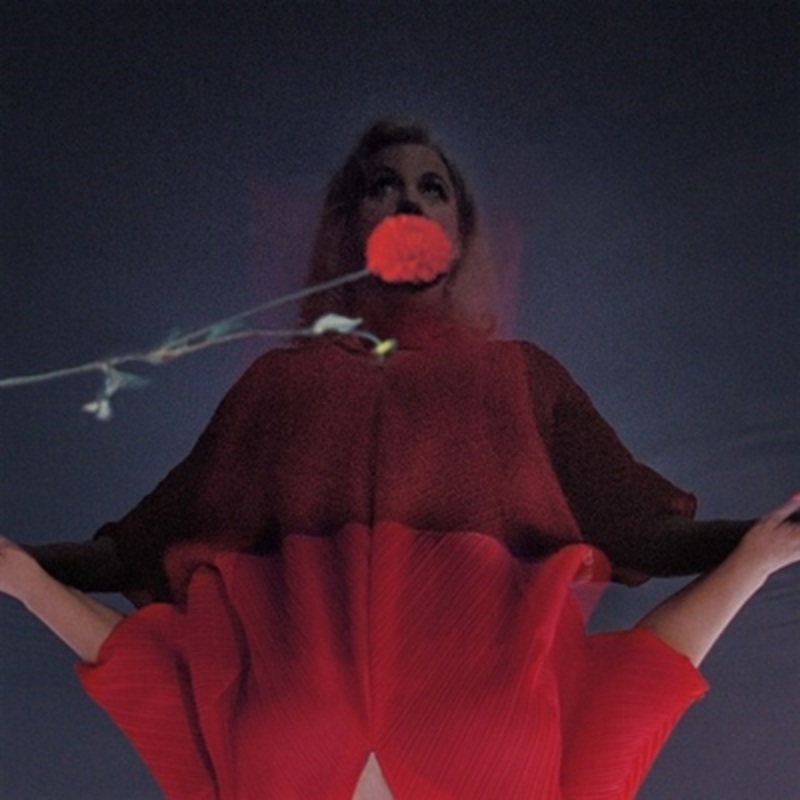 Amy Millan – I Went To Find You (Pink Vinyl) – VINYL LP