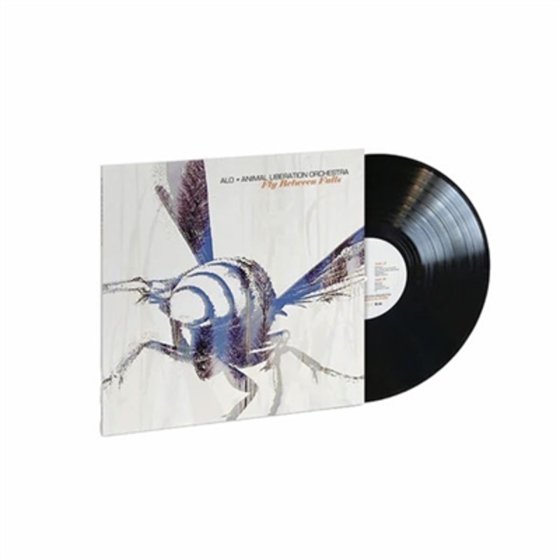 ALO (Animal Liberation Orchestra) – Fly Between Falls – VINYL LP