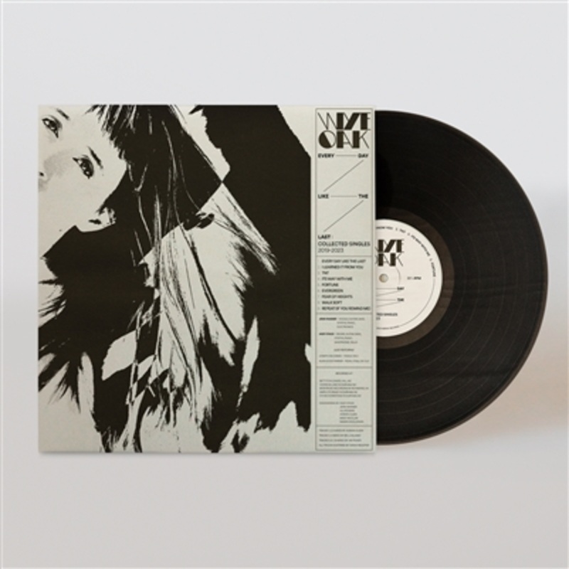 Wye Oak – Every Day Like The Last: Collected Singles 20192023 (Black Vinyl) – VINYL LP