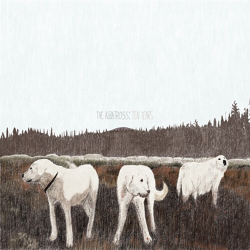 Foxing – The Albatross: Ten Years (Brown Vinyl) – VINYL LP