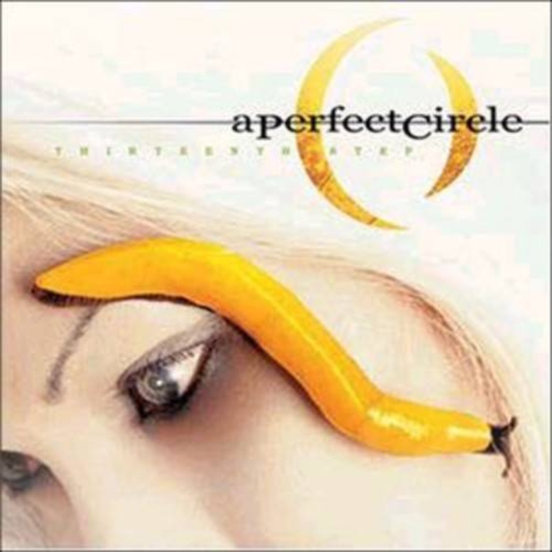 A Perfect Circle – Thirteenth Step – VINYL LP