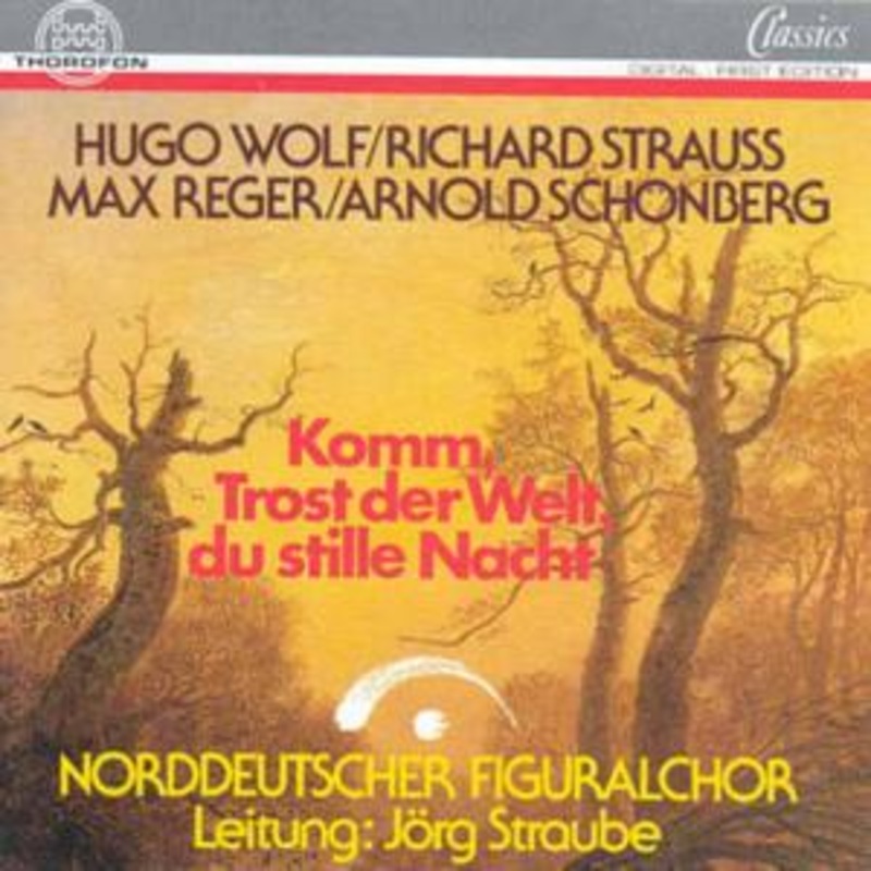 Wolf / Straube,jorg  Come Consolation of the World (CD) (1992)