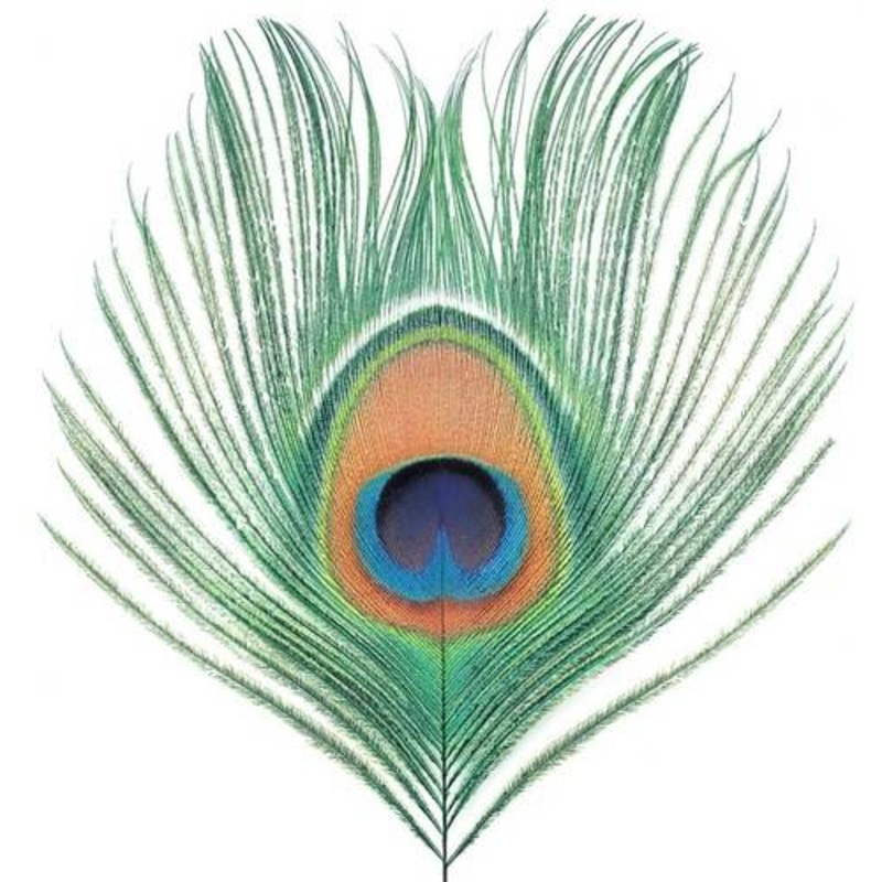 XTC – Apple Venus Vol 1 (UK Import) – VINYL LP