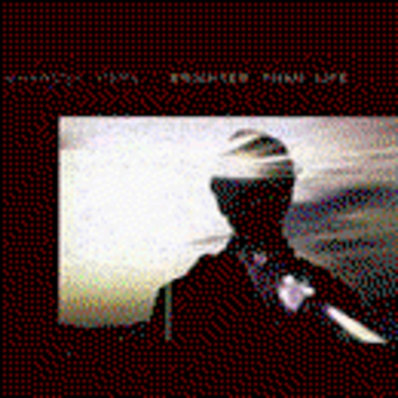 Wharton Tiers Ensemble  Brighter Than Life (CD) (2009)