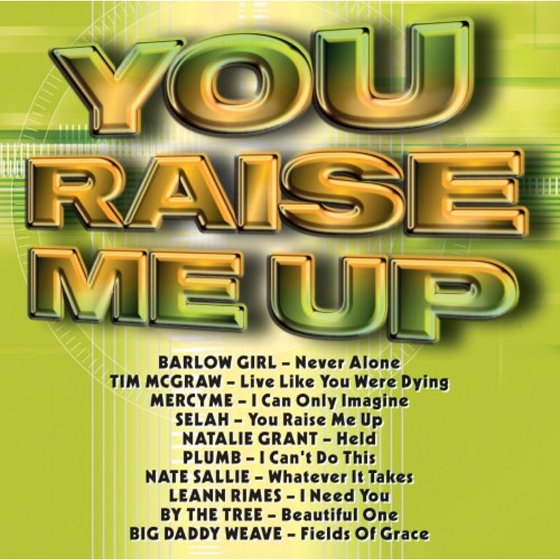 You Raise Me Up / Various (CD) (2005)