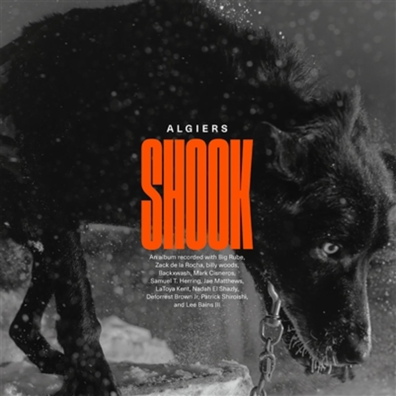 Algiers – Shook – VINYL LP